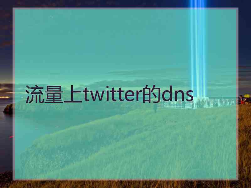 流量上twitter的dns