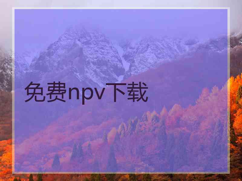 免费npv下载