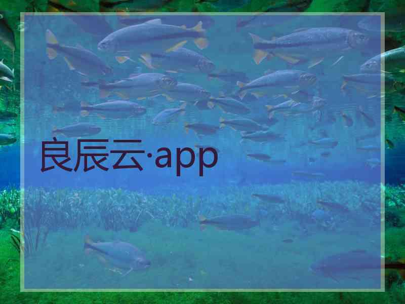 良辰云·app