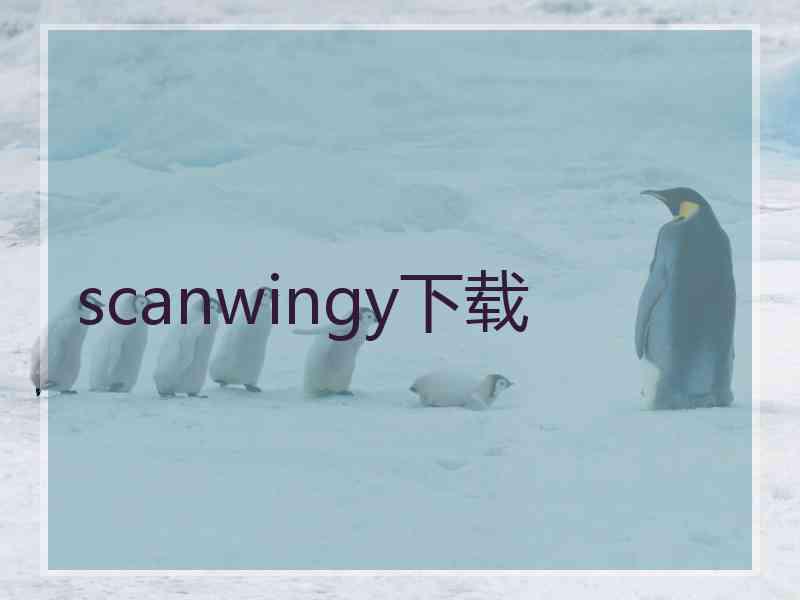 scanwingy下载