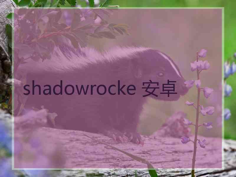 shadowrocke 安卓