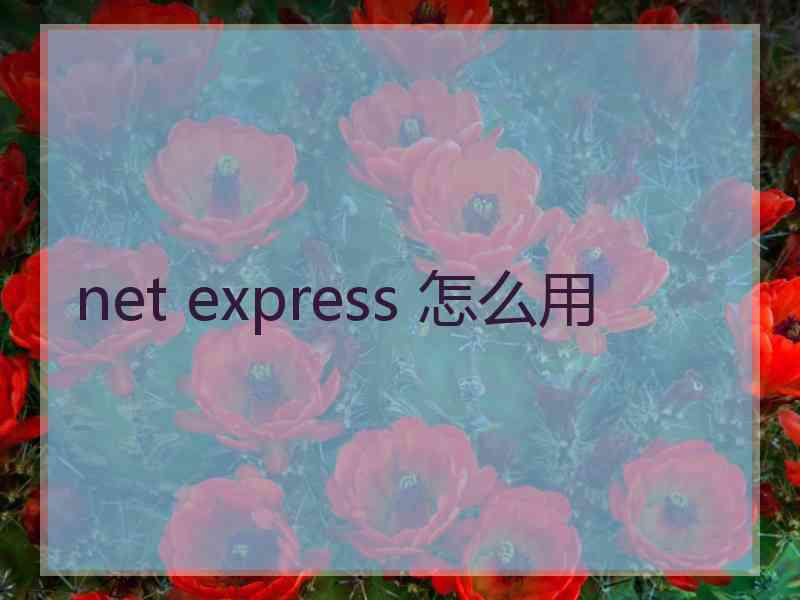 net express 怎么用