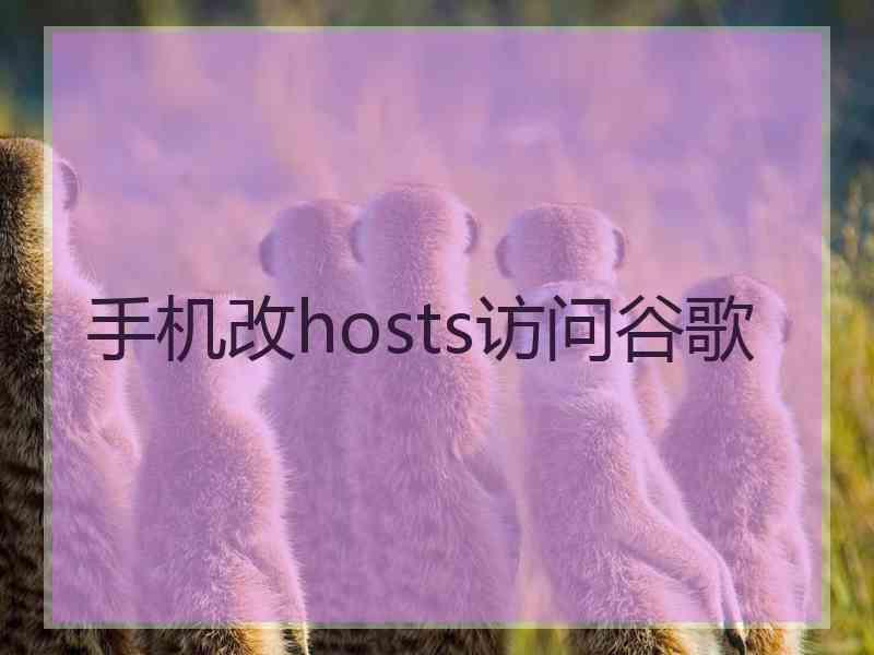 手机改hosts访问谷歌