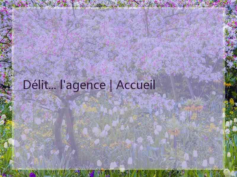 Délit... l'agence | Accueil