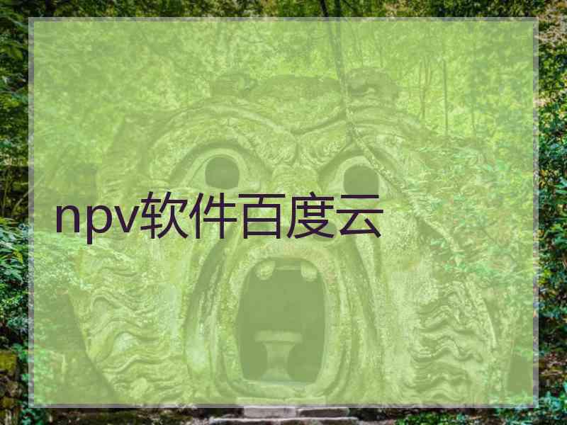 npv软件百度云