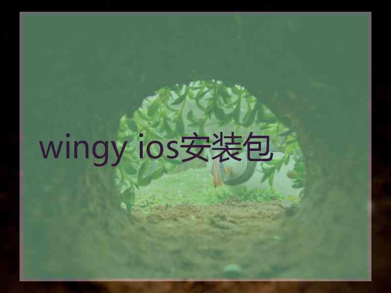 wingy ios安装包