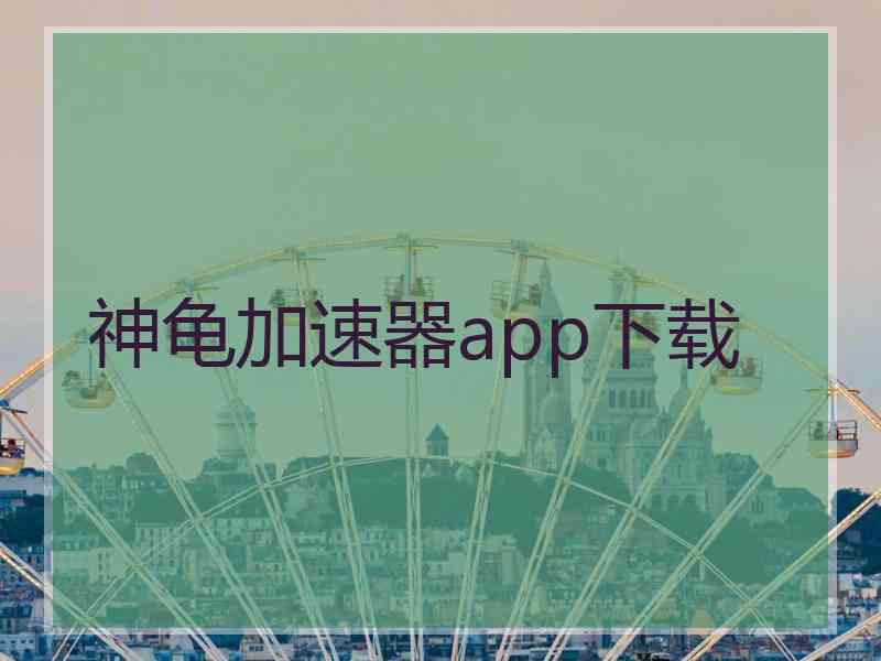 神龟加速器app下载