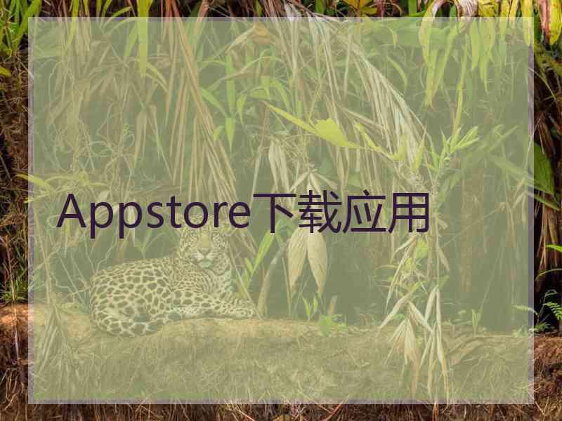 Appstore下载应用