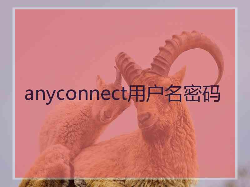 anyconnect用户名密码