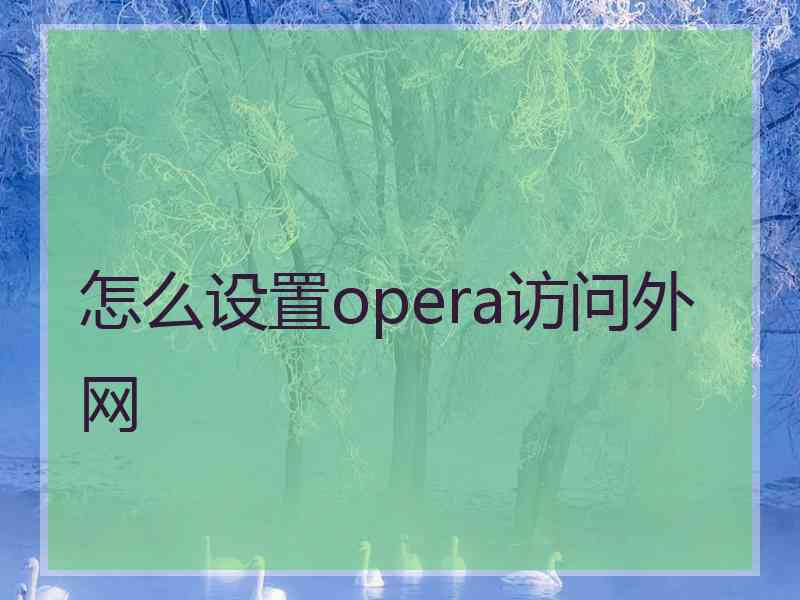 怎么设置opera访问外网