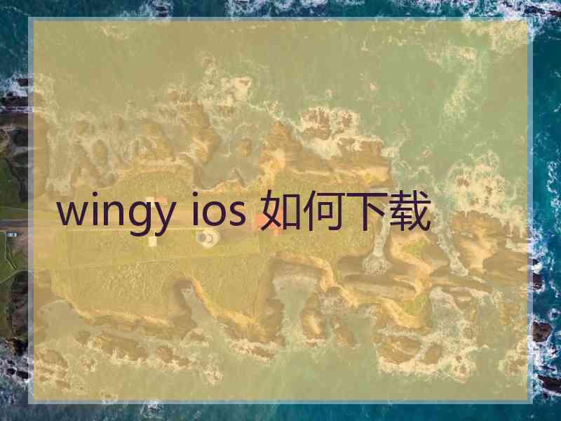 wingy ios 如何下载