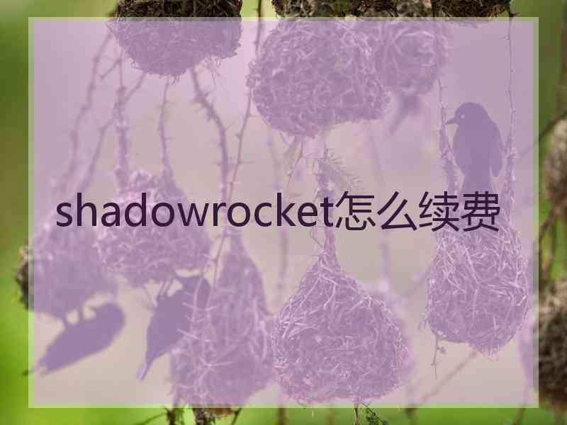 shadowrocket怎么续费