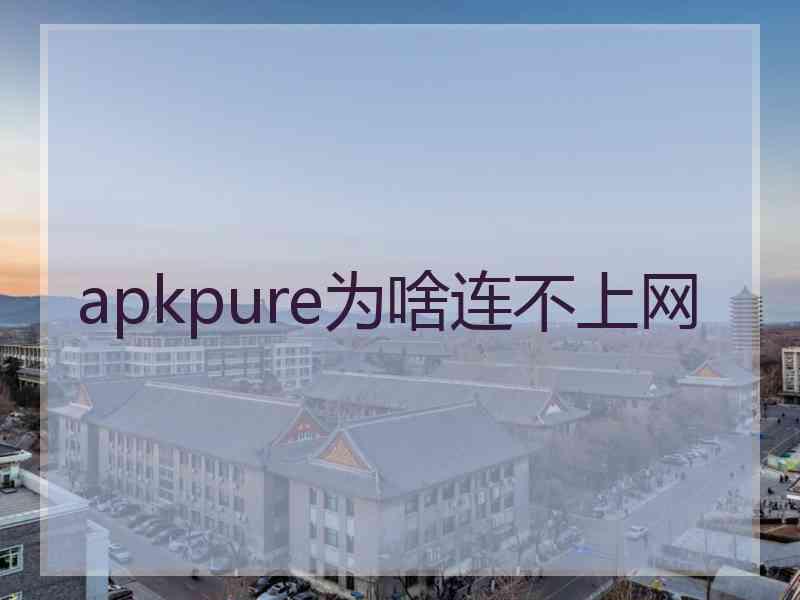 apkpure为啥连不上网