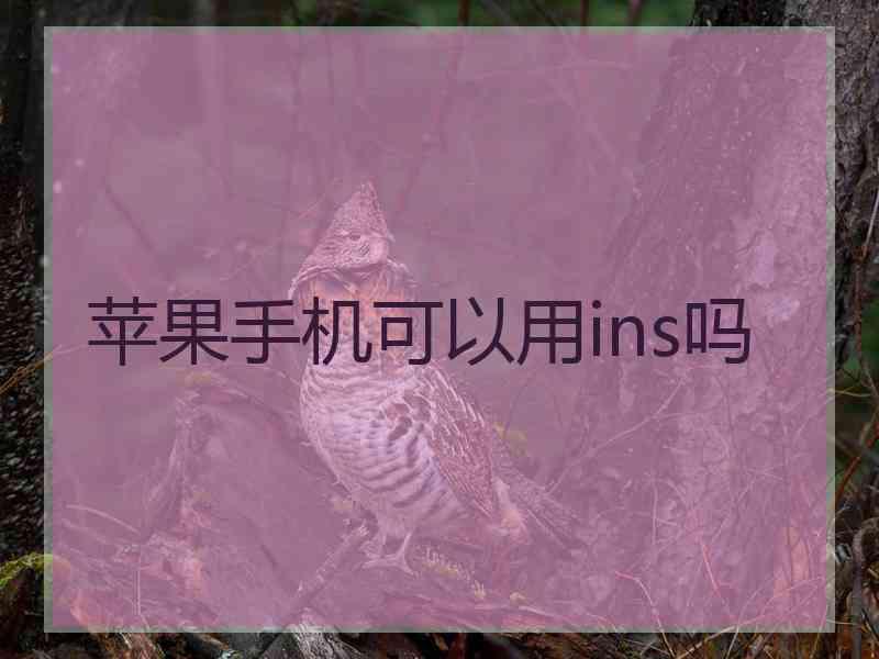 苹果手机可以用ins吗