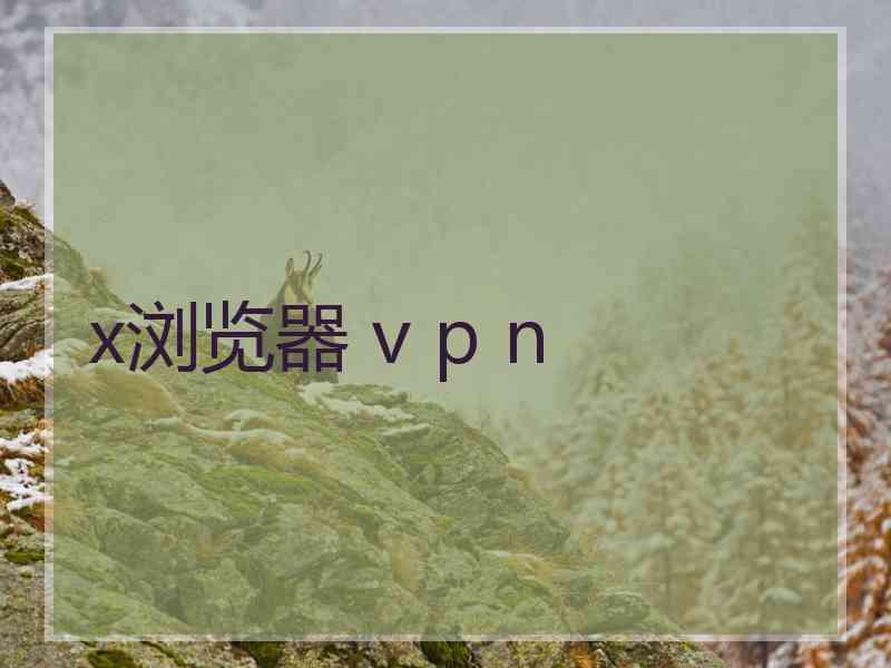 x浏览器 v p n