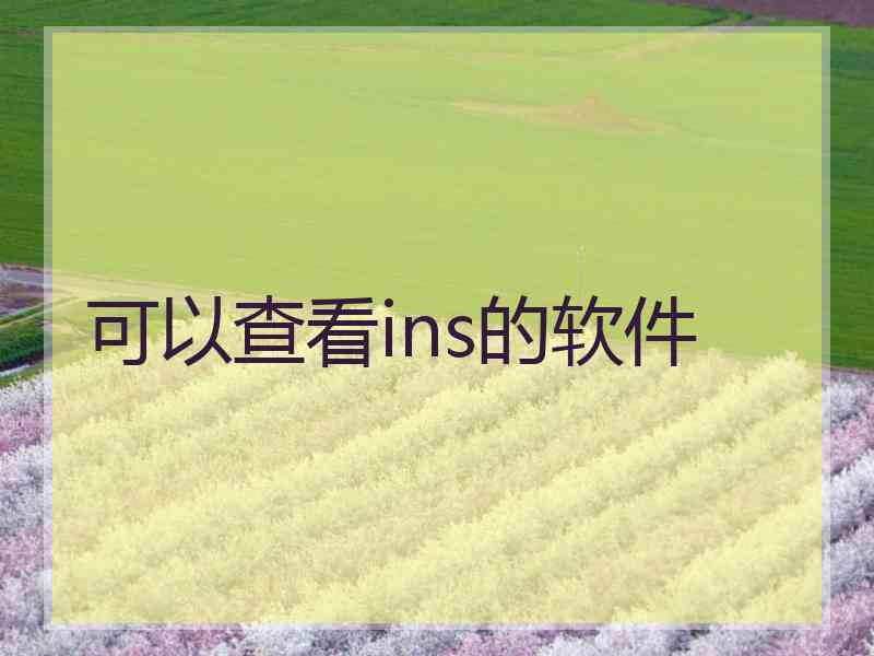 可以查看ins的软件