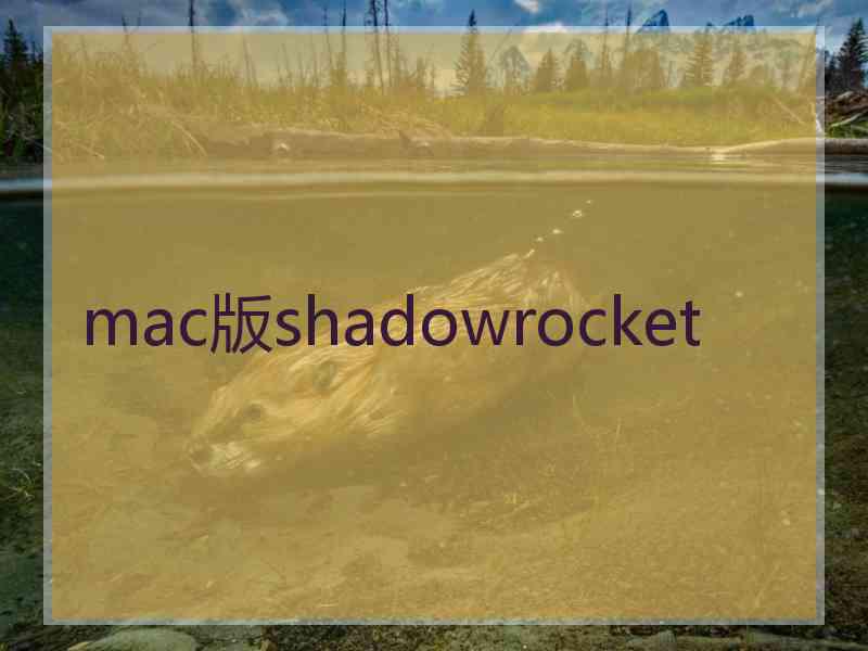 mac版shadowrocket