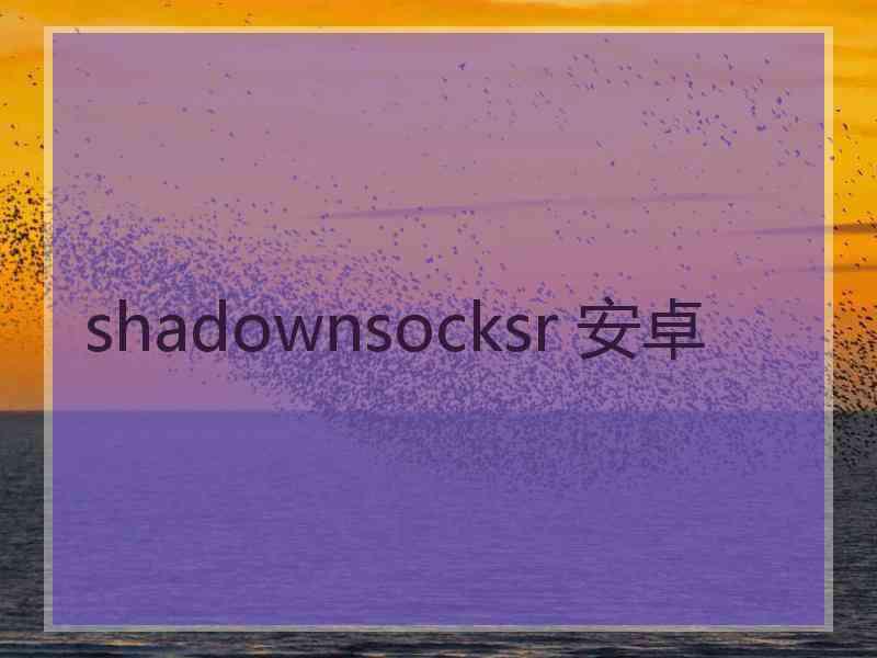 shadownsocksr 安卓