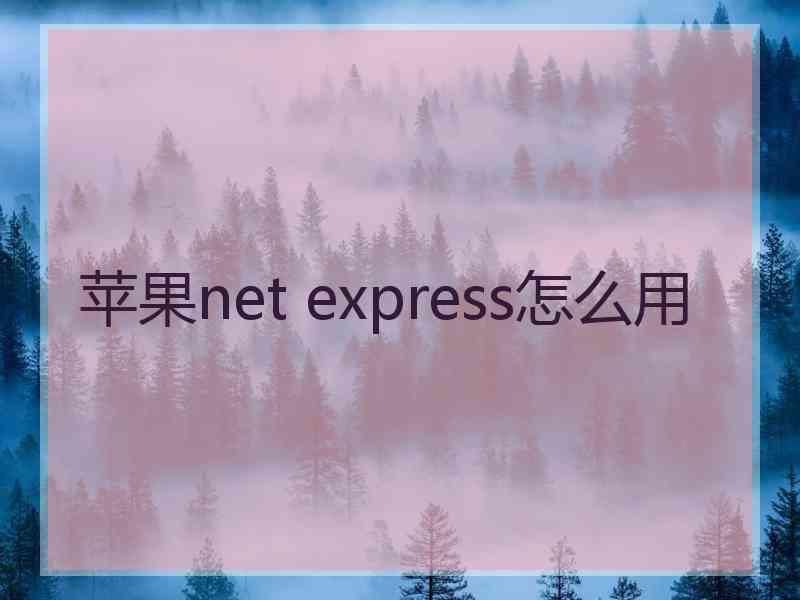 苹果net express怎么用