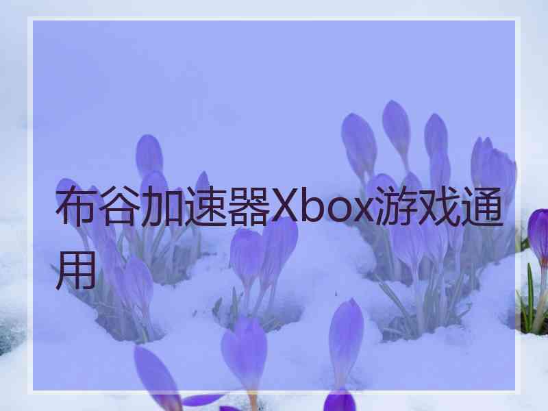 布谷加速器Xbox游戏通用