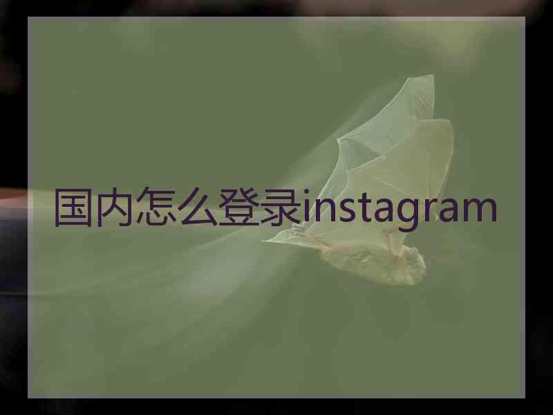 国内怎么登录instagram