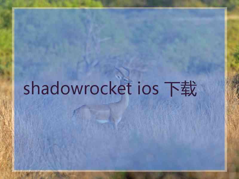 shadowrocket ios 下载