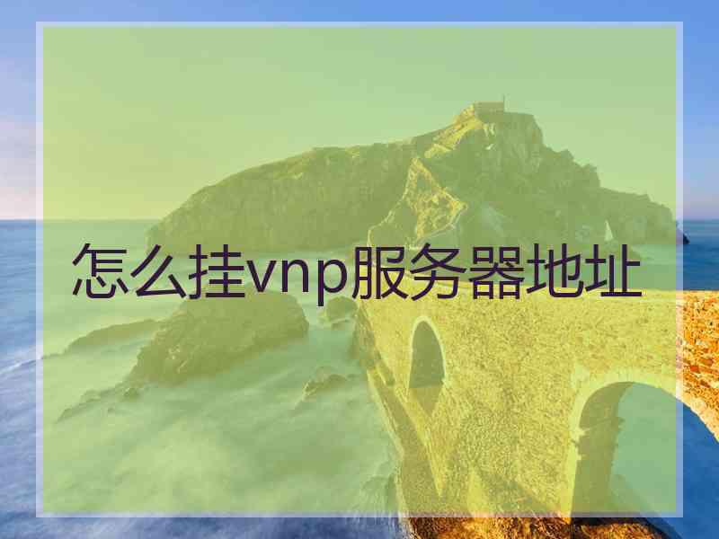 怎么挂vnp服务器地址