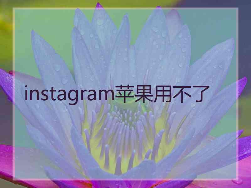 instagram苹果用不了