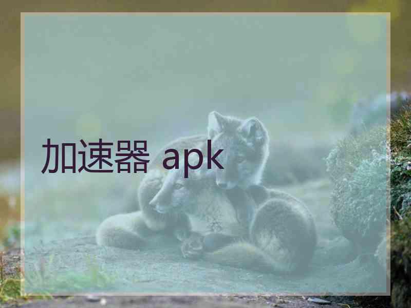 加速器 apk