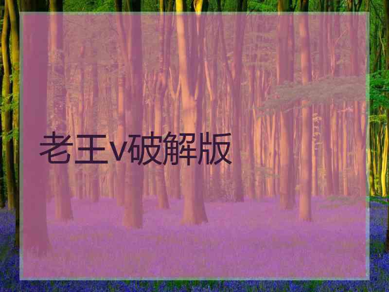 老王v破解版