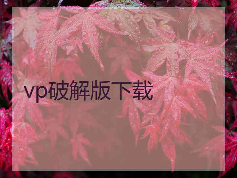 vp破解版下载