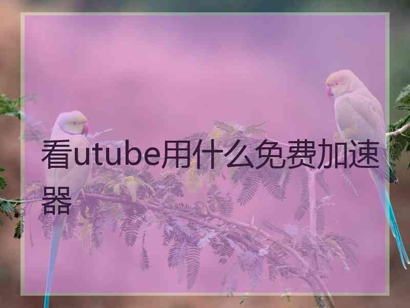 看utube用什么免费加速器