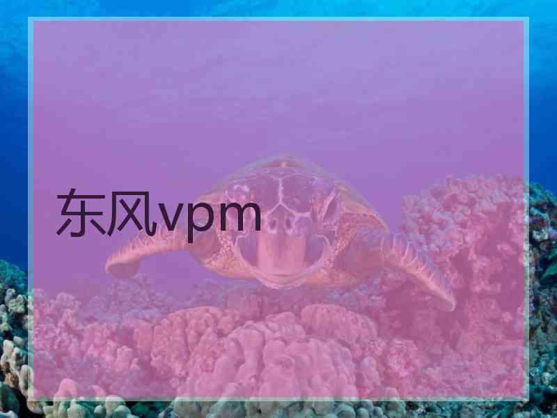 东风vpm