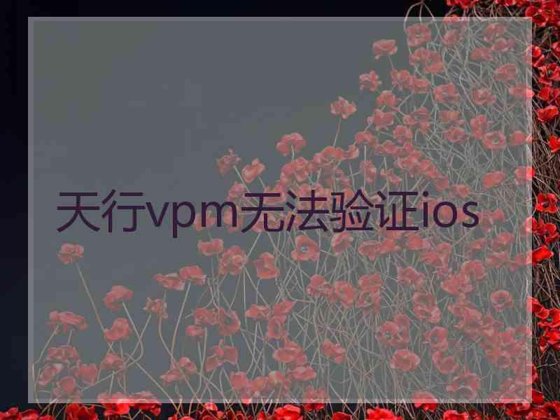 天行vpm无法验证ios