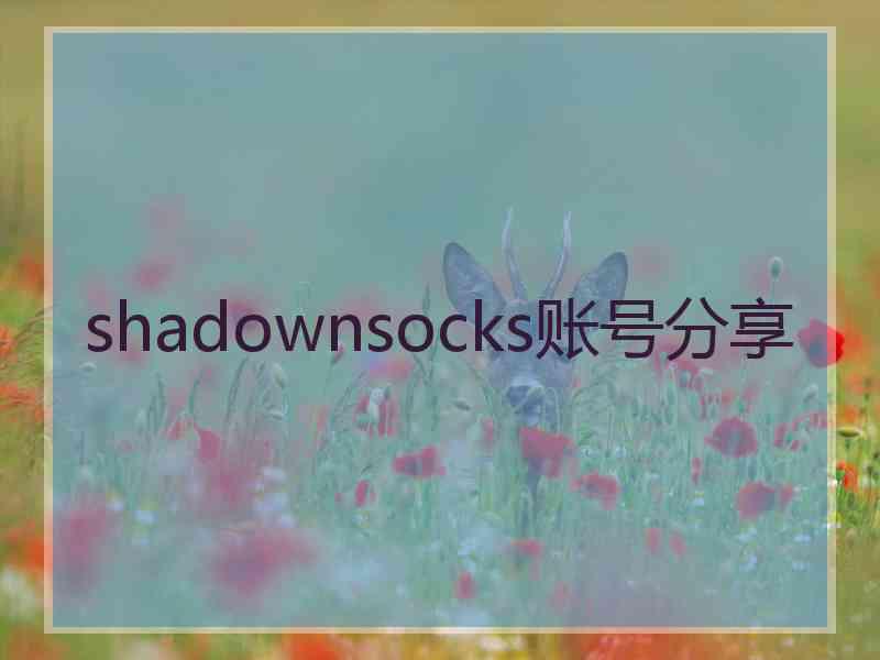 shadownsocks账号分享