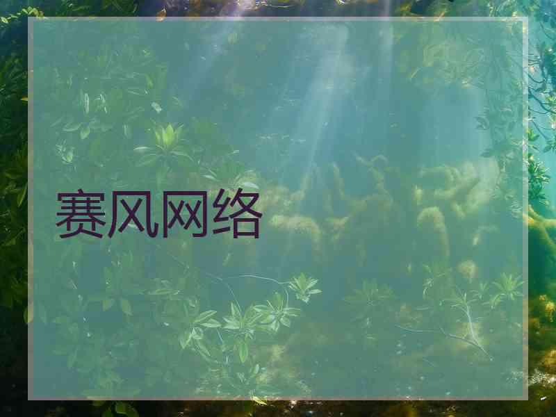 赛风网络