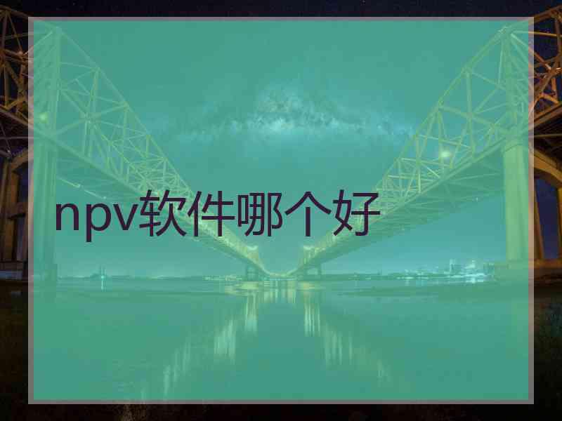 npv软件哪个好