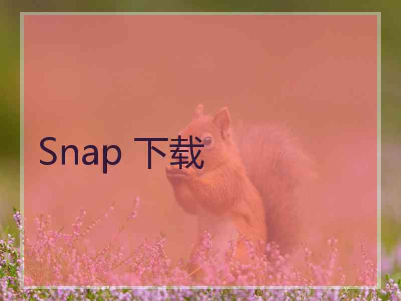 Snap 下载