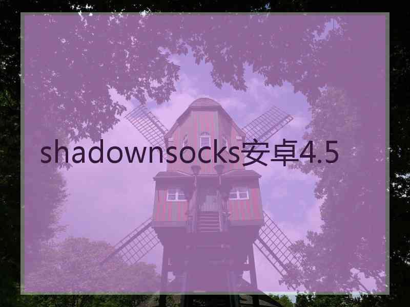 shadownsocks安卓4.5