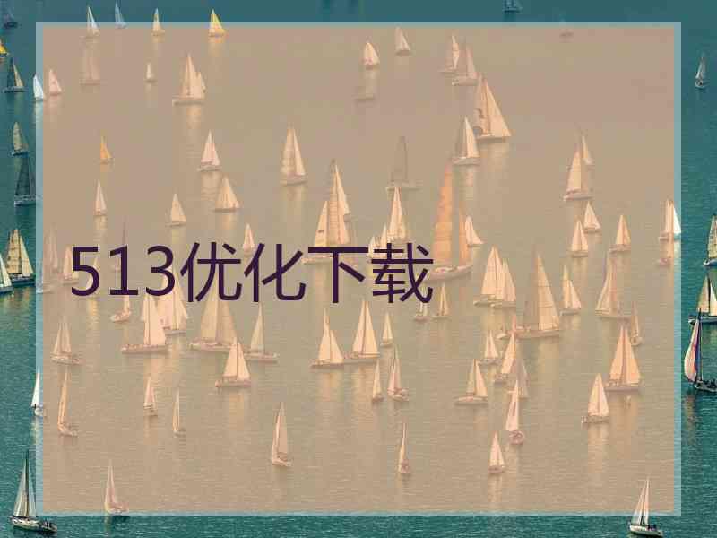 513优化下载