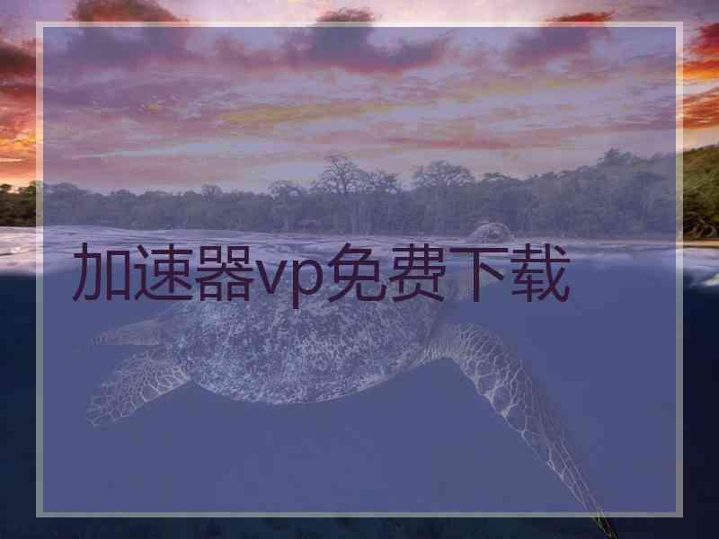 加速器vp免费下载