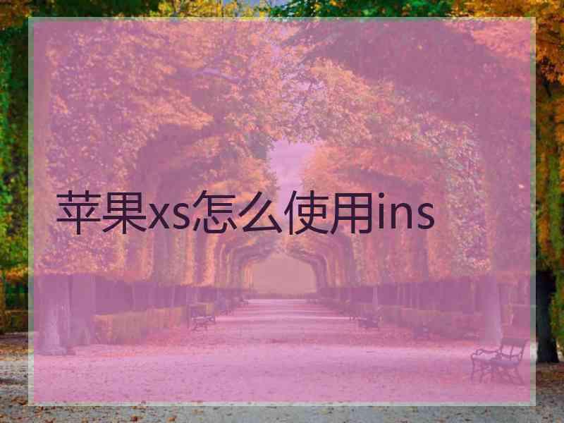 苹果xs怎么使用ins