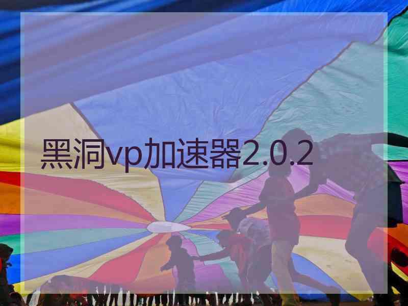 黑洞vp加速器2.0.2