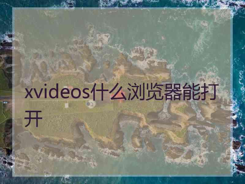 xvideos什么浏览器能打开