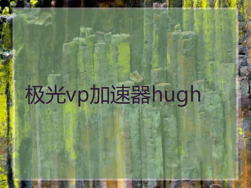 极光vp加速器hugh