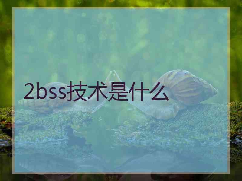 2bss技术是什么