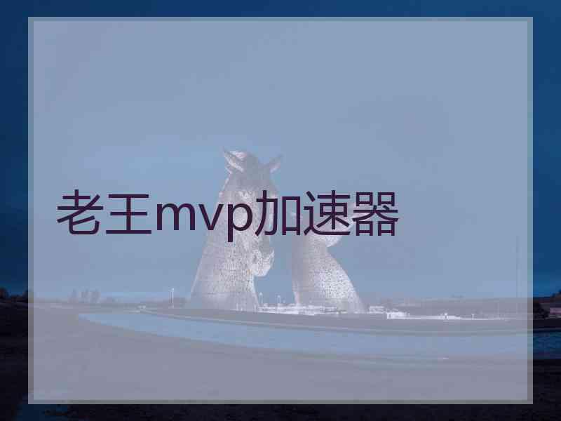 老王mvp加速器