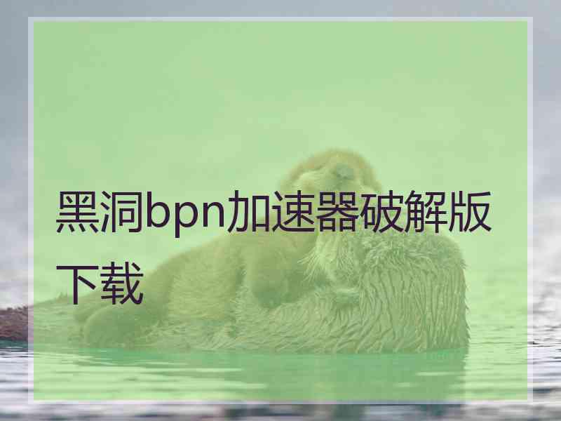 黑洞bpn加速器破解版下载