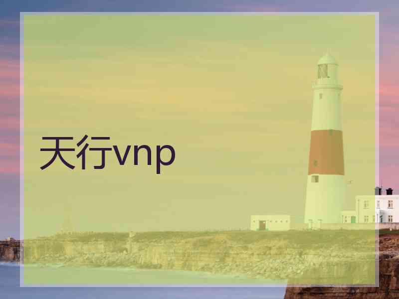 天行vnp