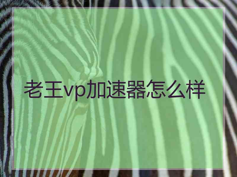 老王vp加速器怎么样